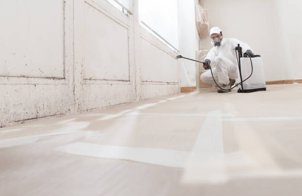24/7 Emergency Attic Mold Removal experts in Fredericksburg, VA