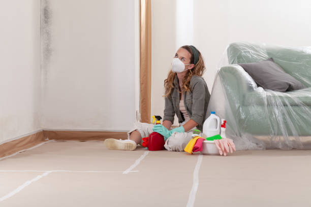 Trusted Attic Mold Removal service in Fredericksburg, VA - Cheap Mold Removal